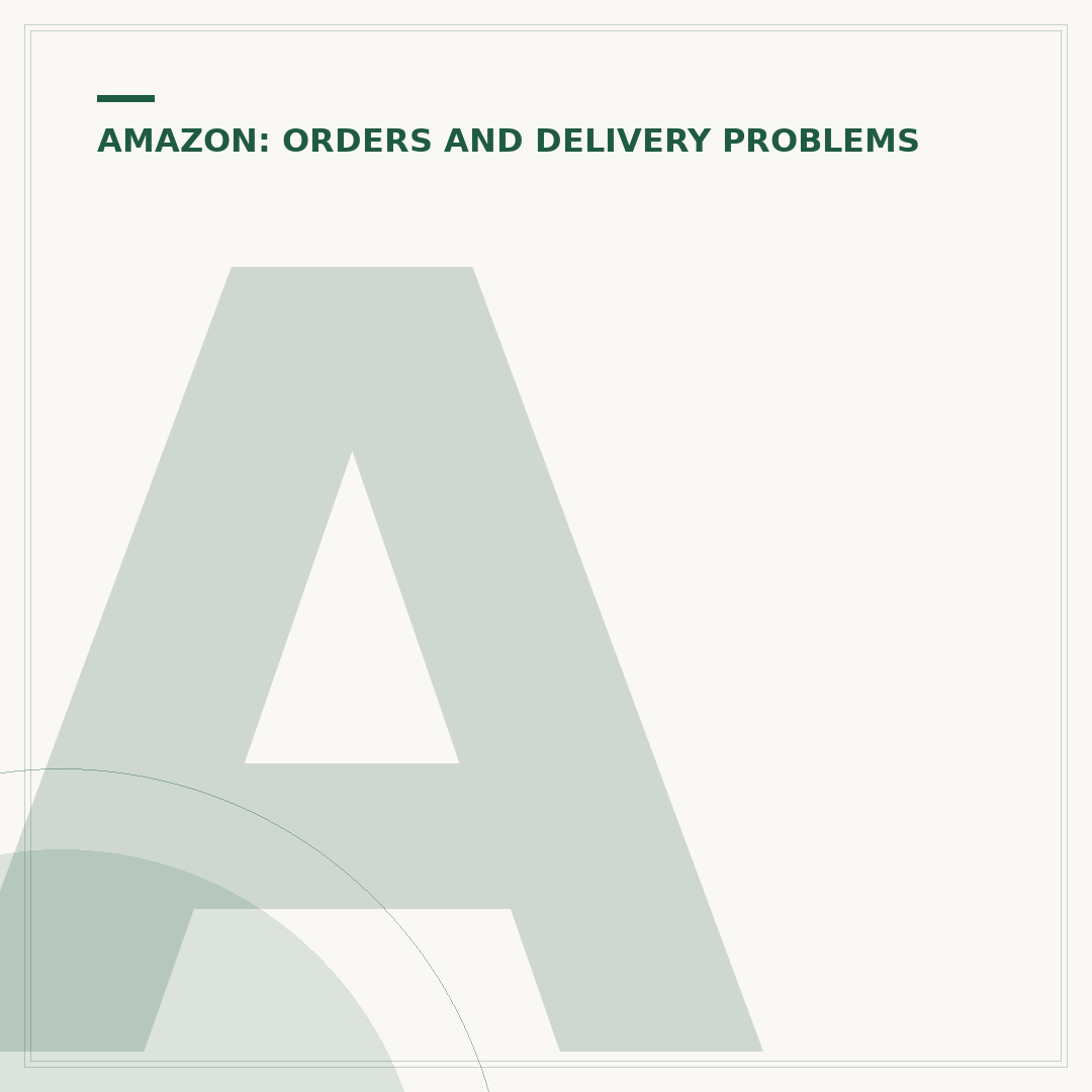 Amazon Goods Not Received: What To Do & Alternatives