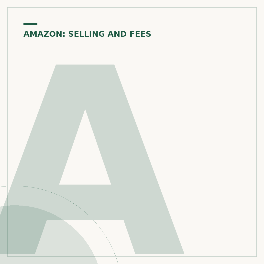 Amazon Seller Accountants: How to Choose the Right One