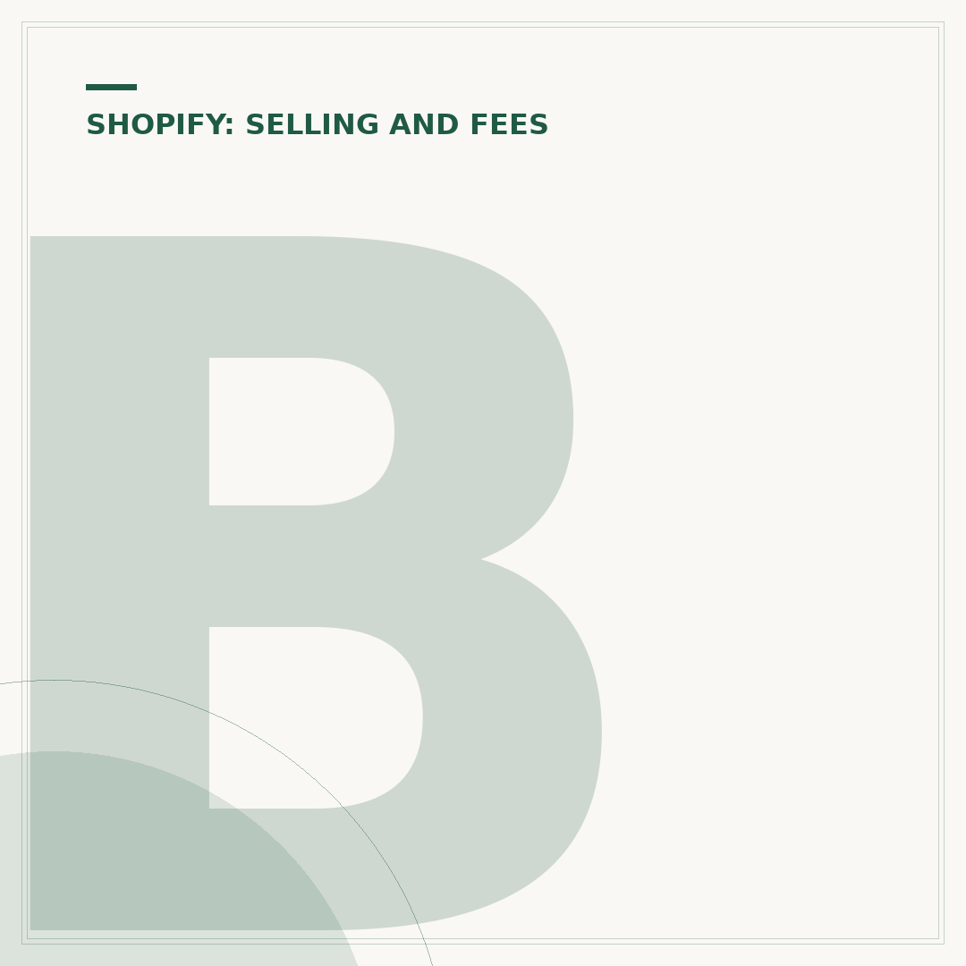 Build a Shopify Store: Setup & Strategy