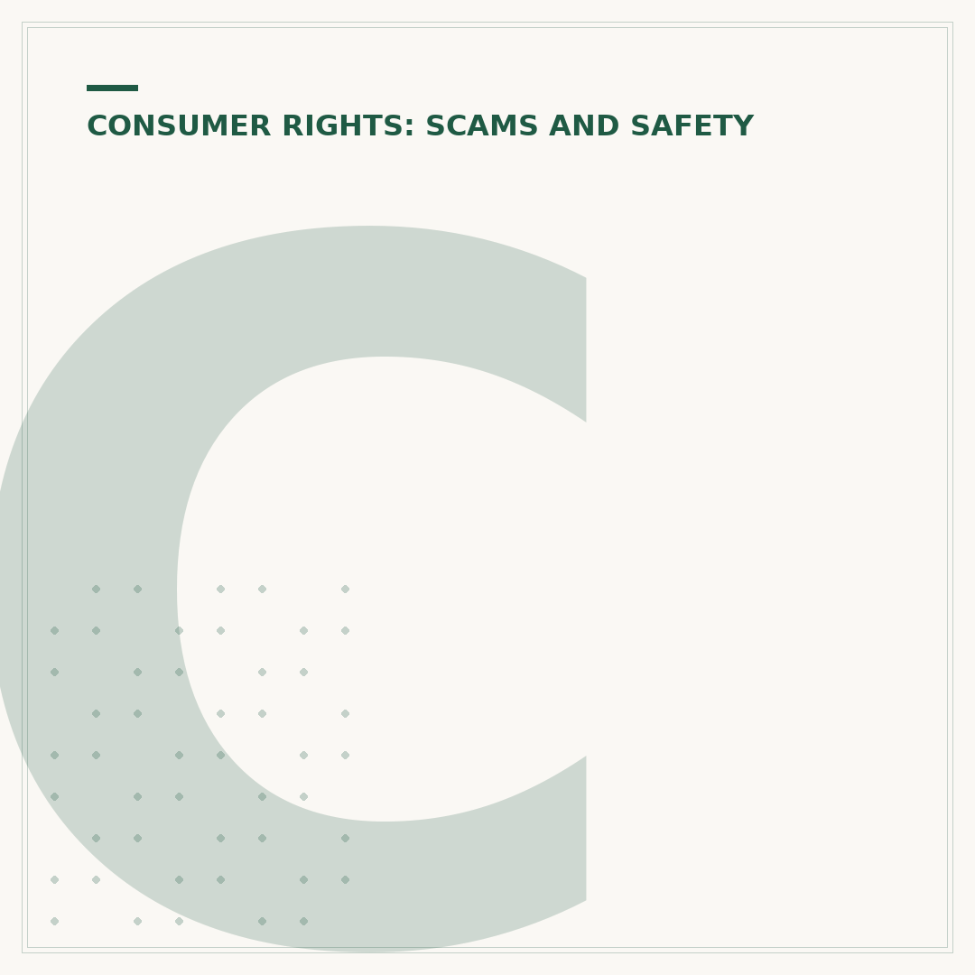 Chargeback Fraud Prevention: Protect Your Business