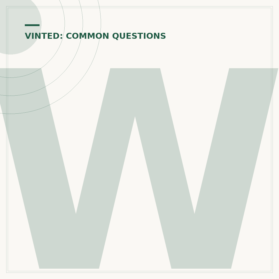 What Does Check In Progress Mean on Vinted?
