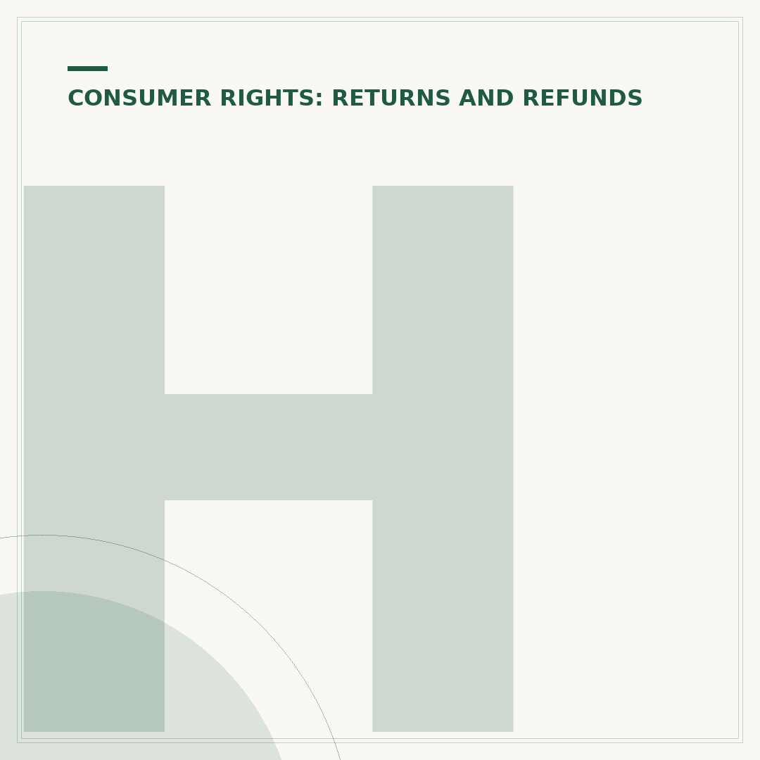 Hollister Returns Policy Explained