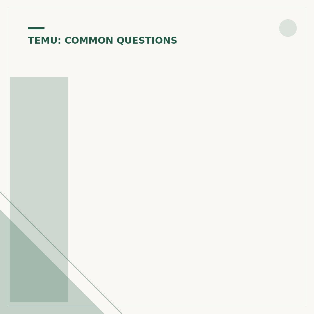 Is Temu Bad? Examining Concerns and Alternatives