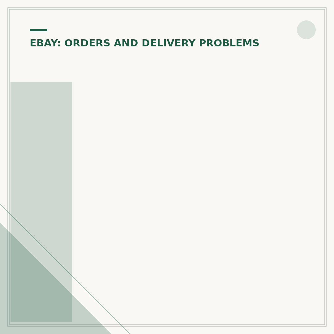 Item Not Received on eBay: What to Do Next