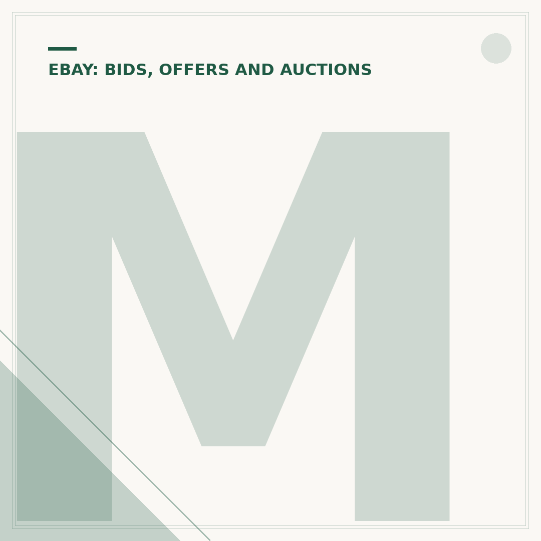 Making an Offer on eBay