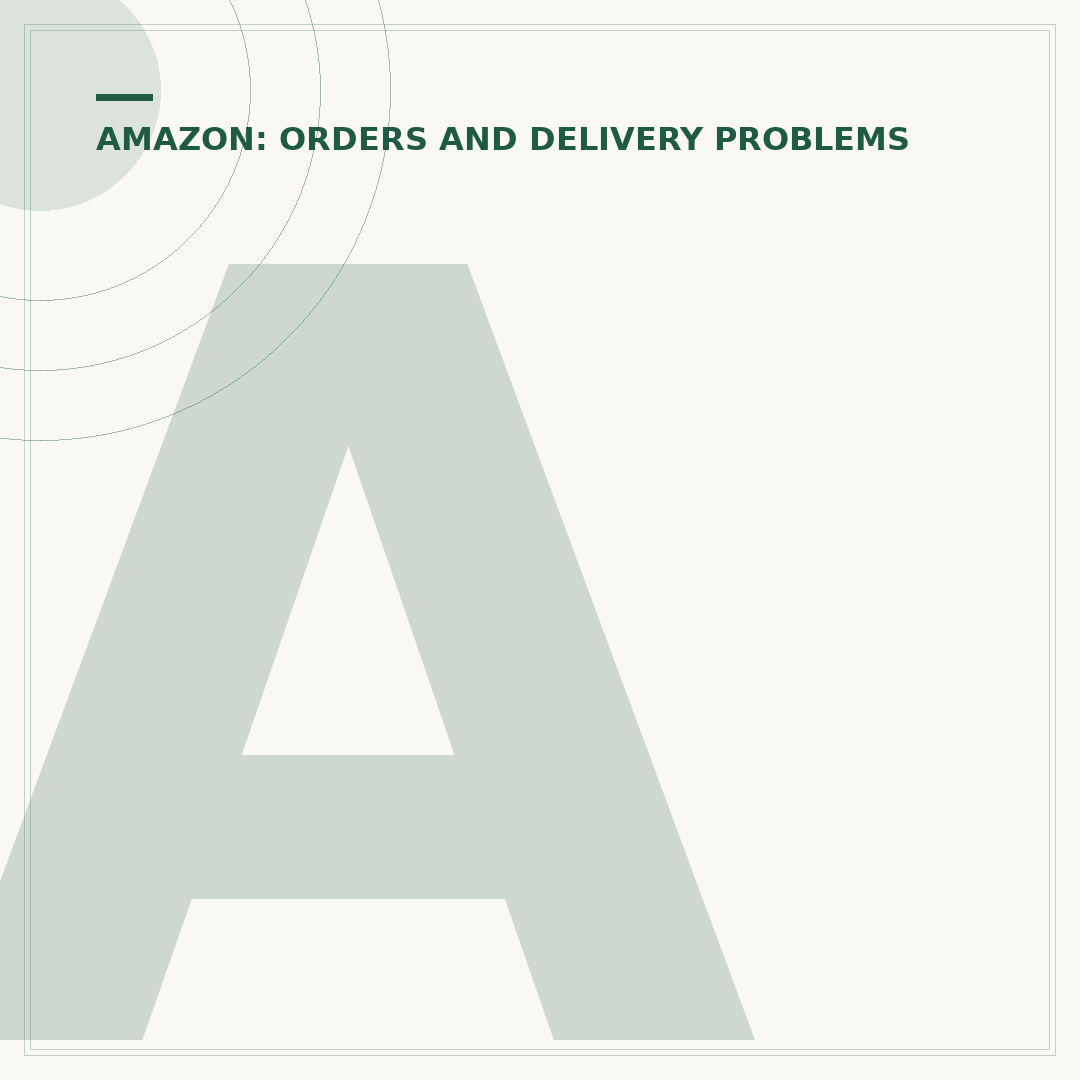 Amazon Order Not Arrived? What To Do Next
