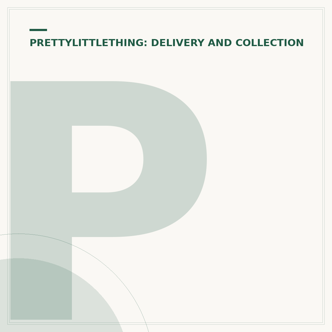 PLT Free Next Day Delivery: Your Options Explained