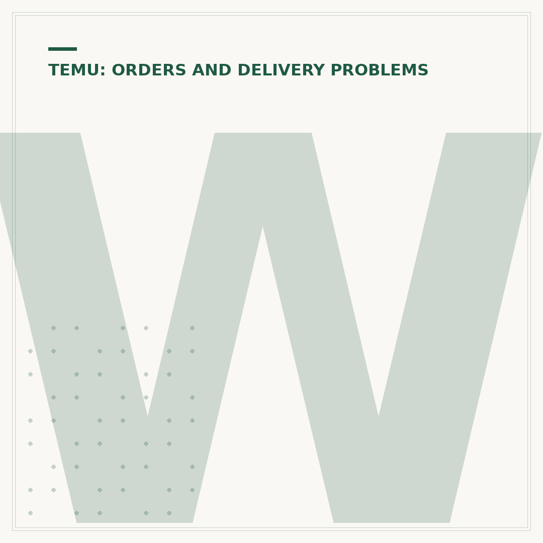What Does Preorder Mean on Temu?
