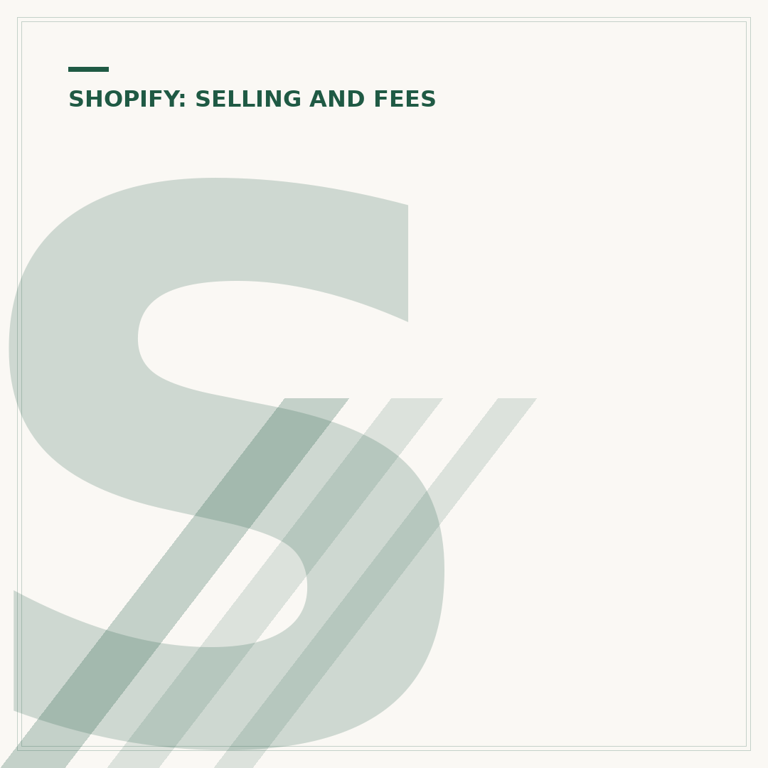 Shopify Development Store: What It Is & How to Start