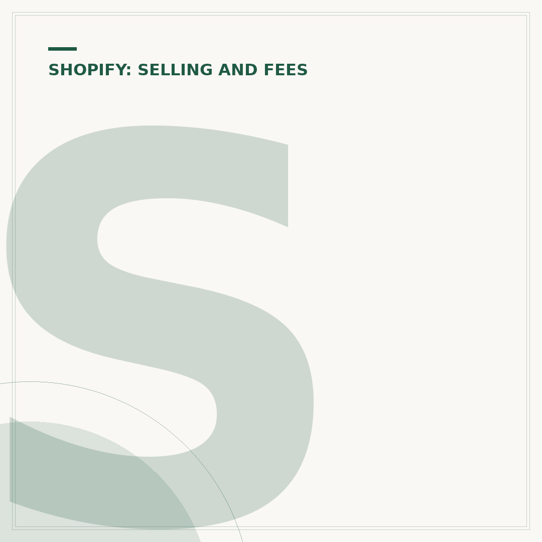 Shopify Starter Plan: What It Offers and Who It's For
