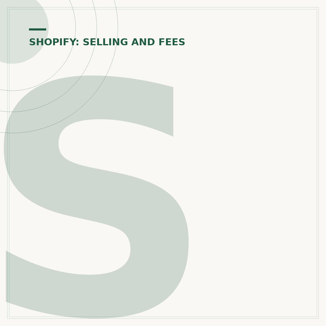 Shopify Store Examples: What Makes Them Stand Out