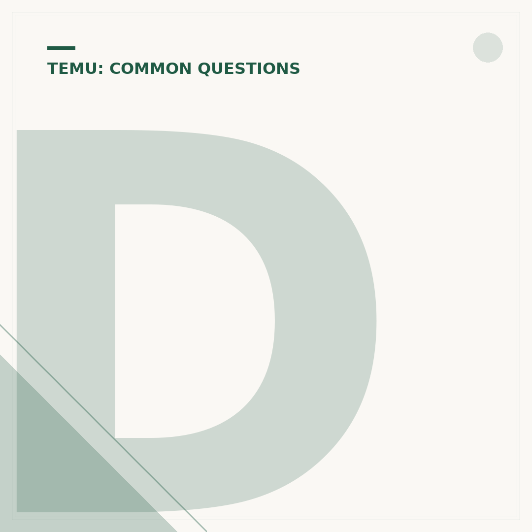 Does Temu Steal Your Information? A Data Privacy Analysis