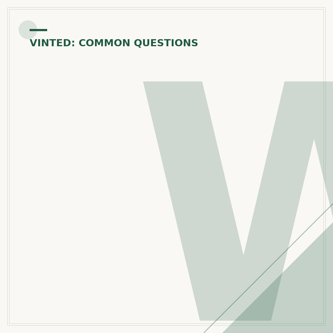 What is Vinted Pro? Understanding the Seller's Service