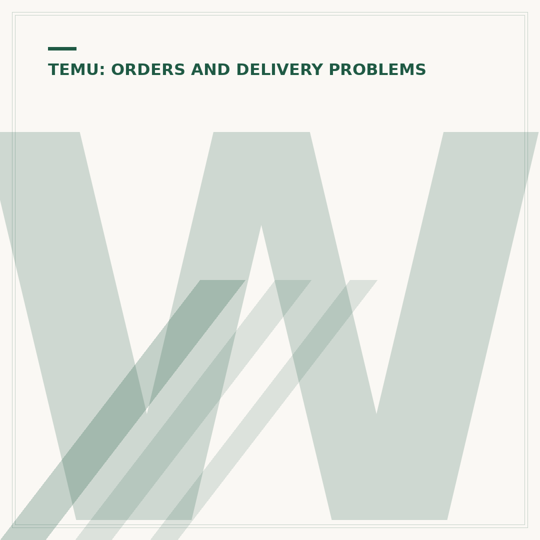 What Does Pre Order Mean on Temu?