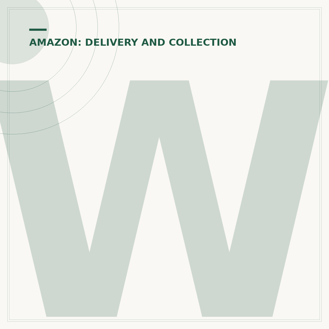 When Does Amazon Deliver?