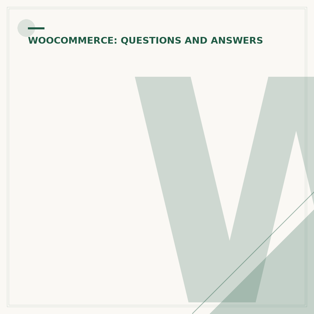 WooCommerce Payment Options Explained