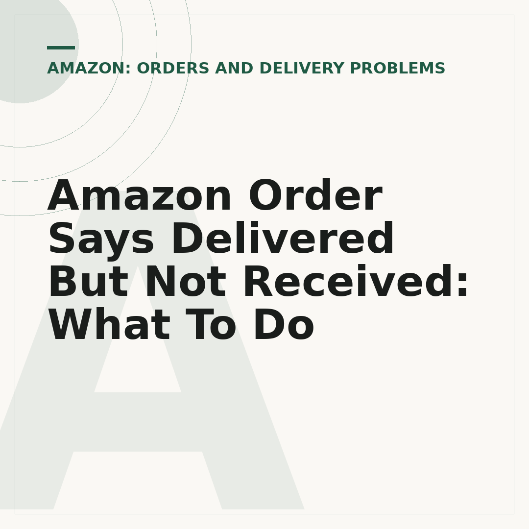 Amazon Order Says Delivered But Not Received: What To Do