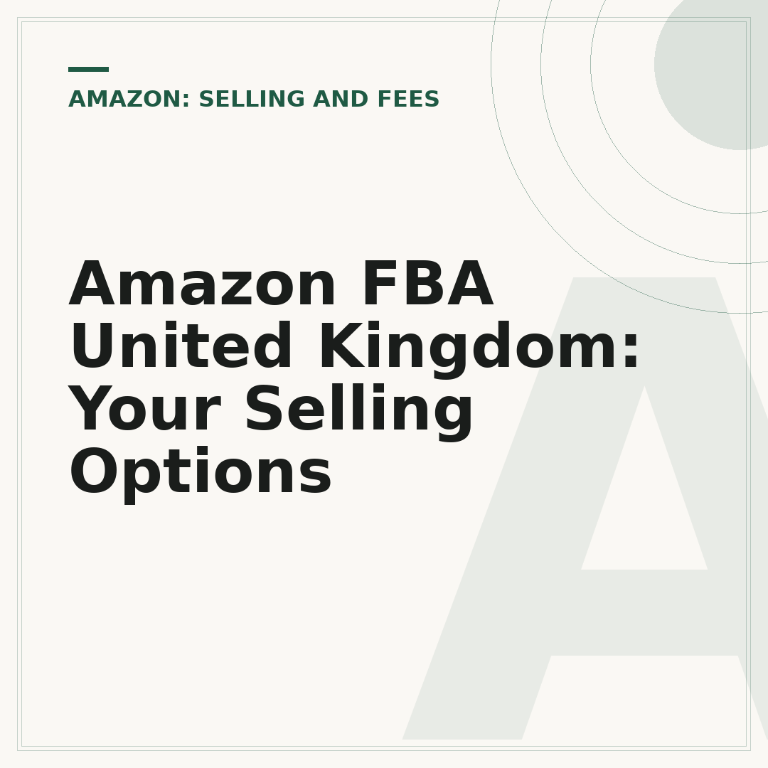 Amazon FBA United Kingdom: Your Selling Options