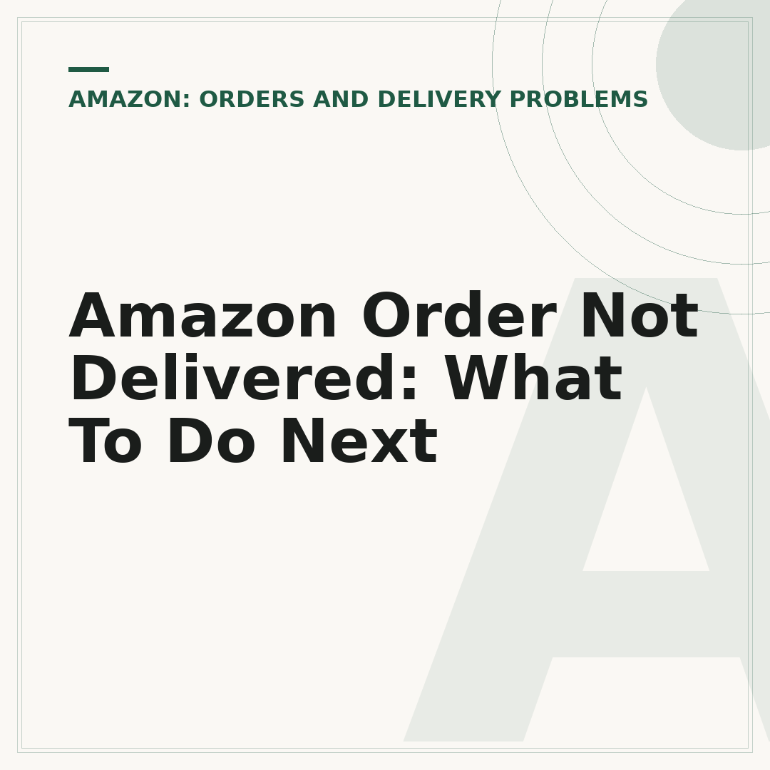 Amazon Order Not Delivered: What To Do Next