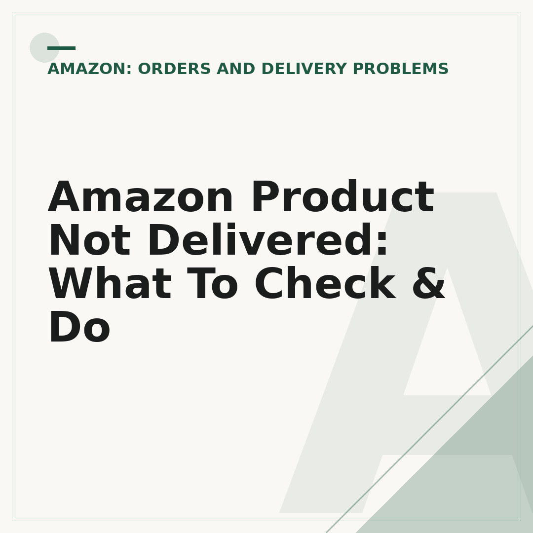 Amazon Product Not Delivered: What To Check & Do