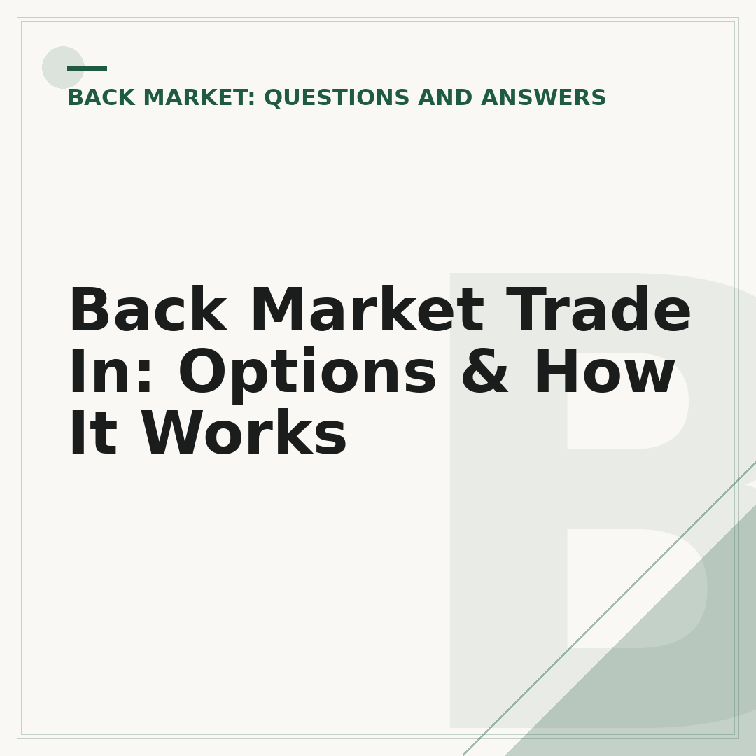 Back Market Trade In: Options & How It Works