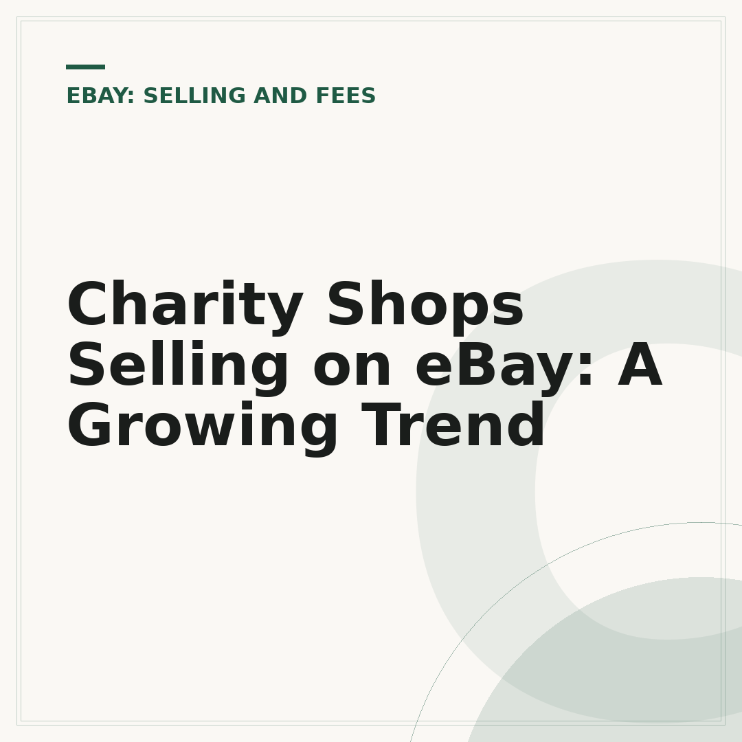 Charity Shops Selling on eBay: A Growing Trend