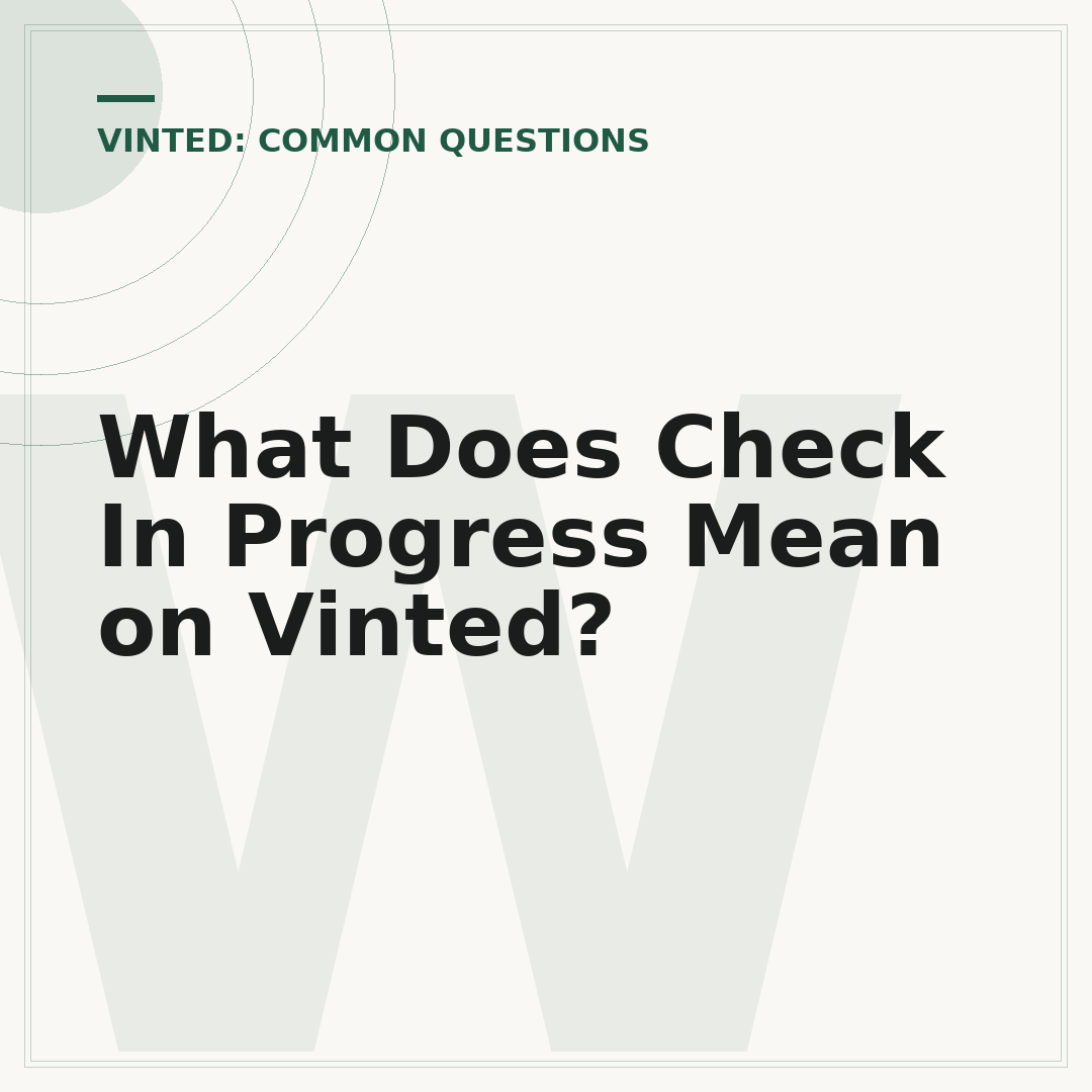 What Does Check In Progress Mean on Vinted?