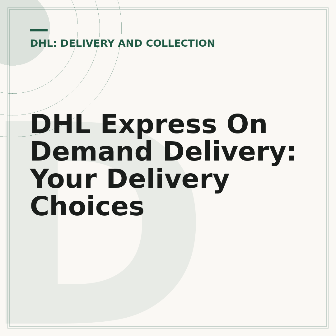DHL Express On Demand Delivery: Your Delivery Choices