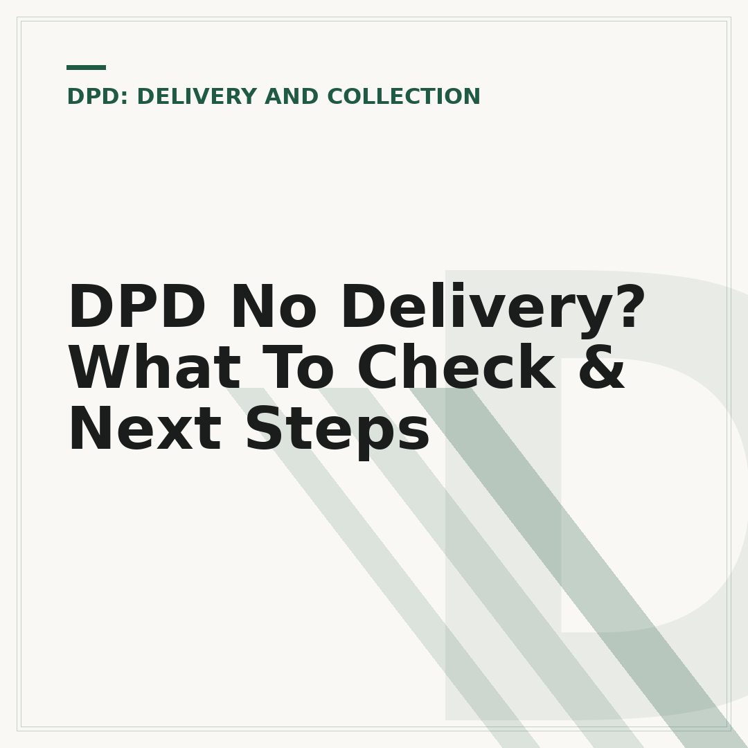 DPD No Delivery? What To Check & Next Steps