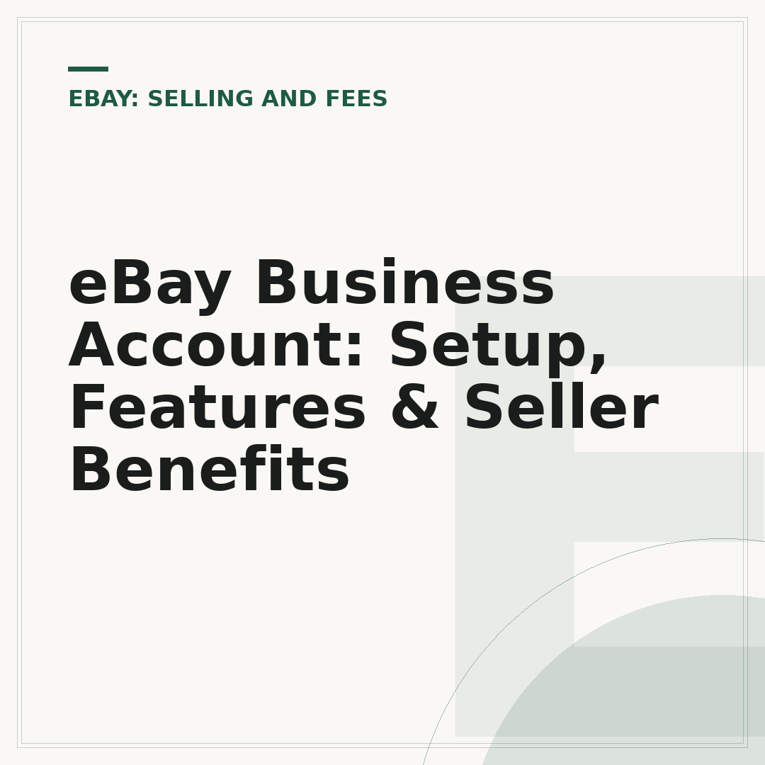 eBay Business Account: Setup, Features & Seller Benefits