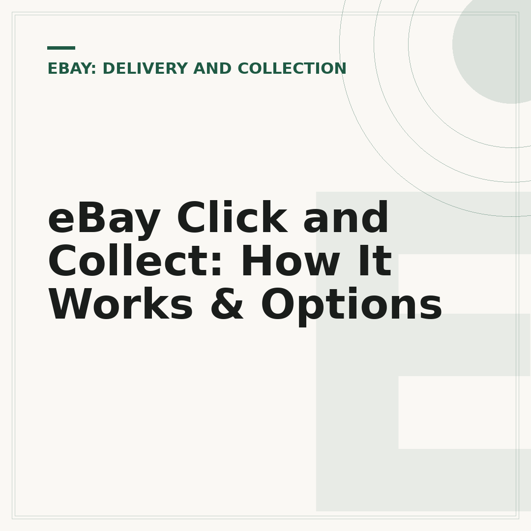 eBay Click and Collect: How It Works & Options