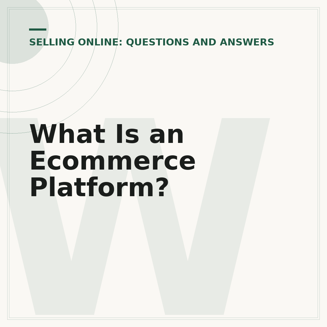 What Is an Ecommerce Platform?