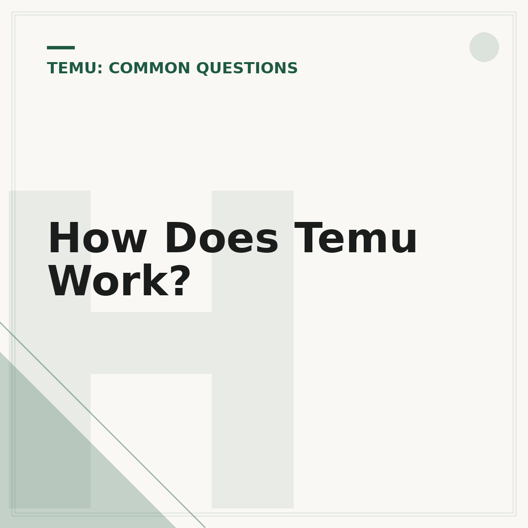 How Does Temu Work?