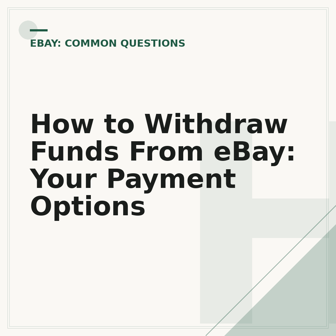 How to Withdraw Funds From eBay: Your Payment Options