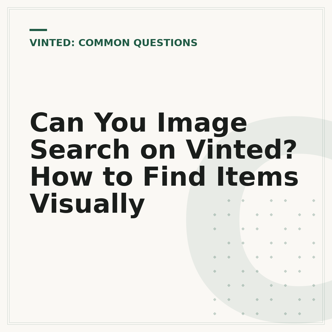 Can You Image Search on Vinted? How to Find Items Visually