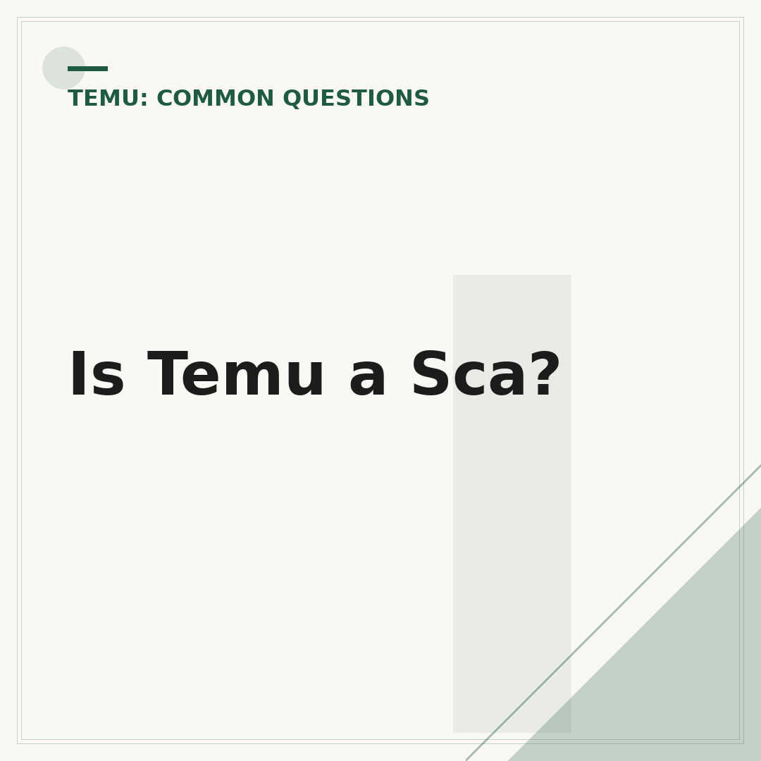 Is Temu a Sca?