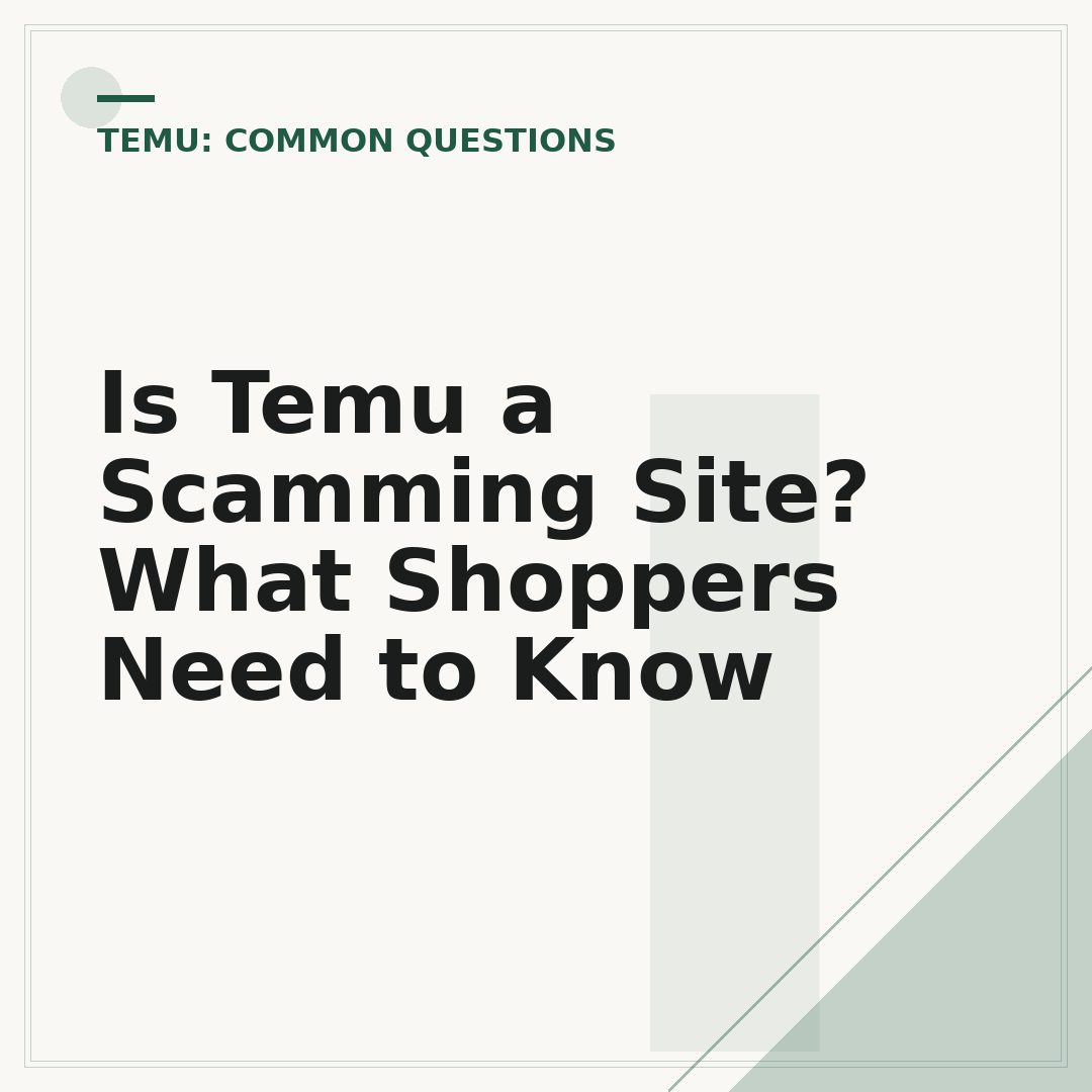 Is Temu a Scamming Site? What Shoppers Need to Know