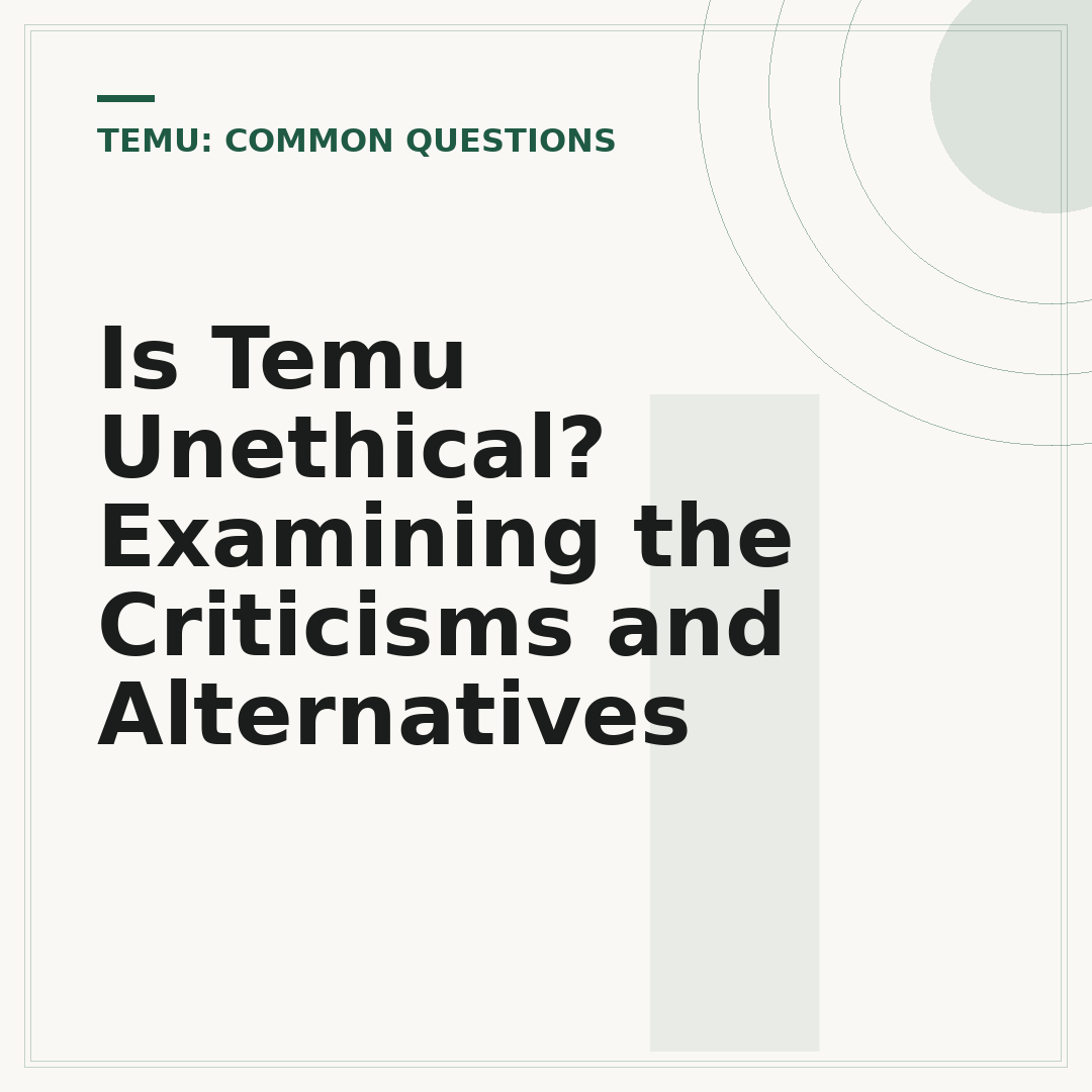 Is Temu Unethical? Examining the Criticisms and Alternatives