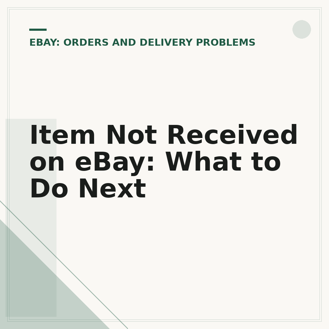 Item Not Received on eBay: What to Do Next