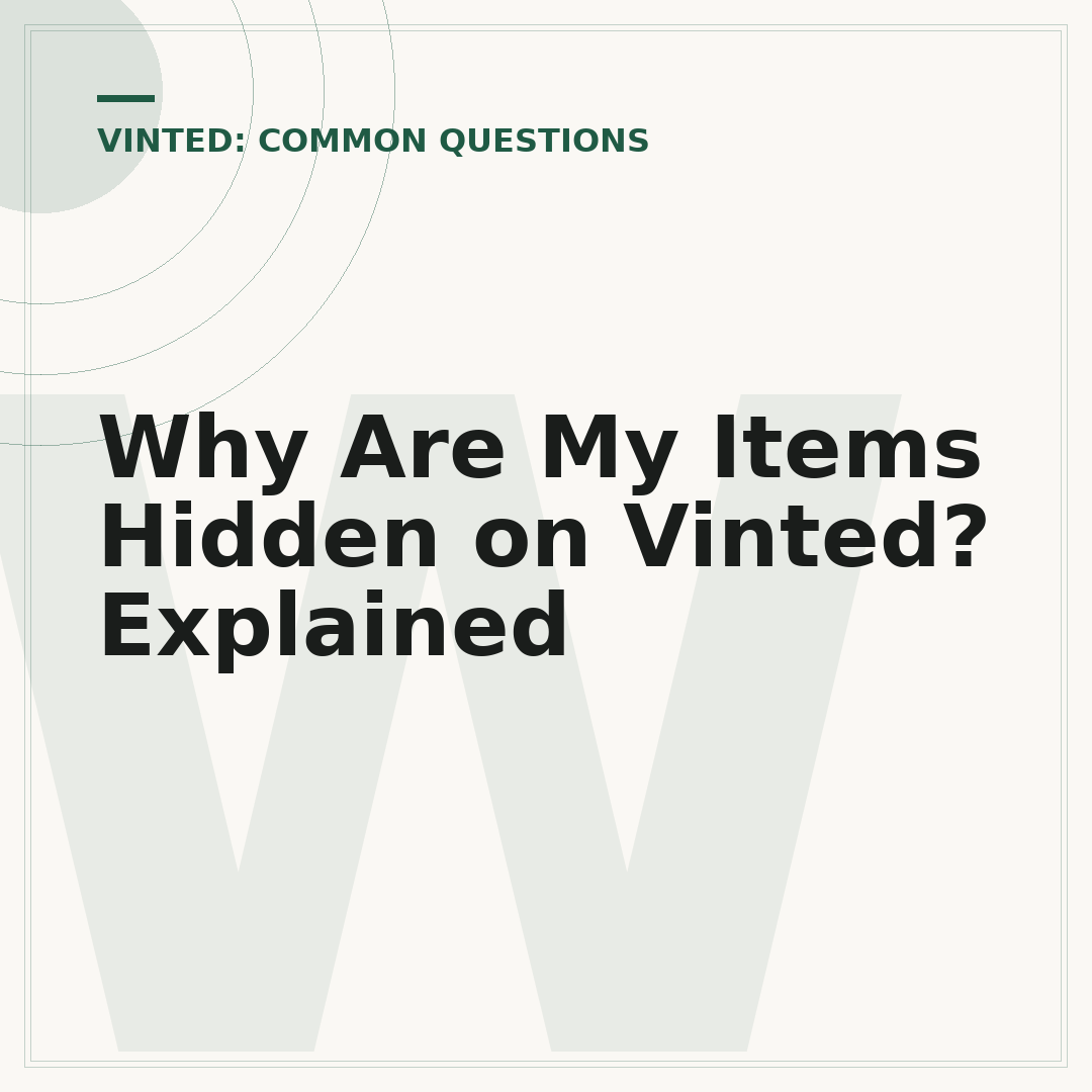 Why Are My Items Hidden on Vinted? Explained
