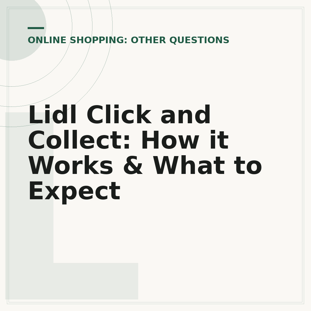 Lidl Click and Collect: How it Works & What to Expect