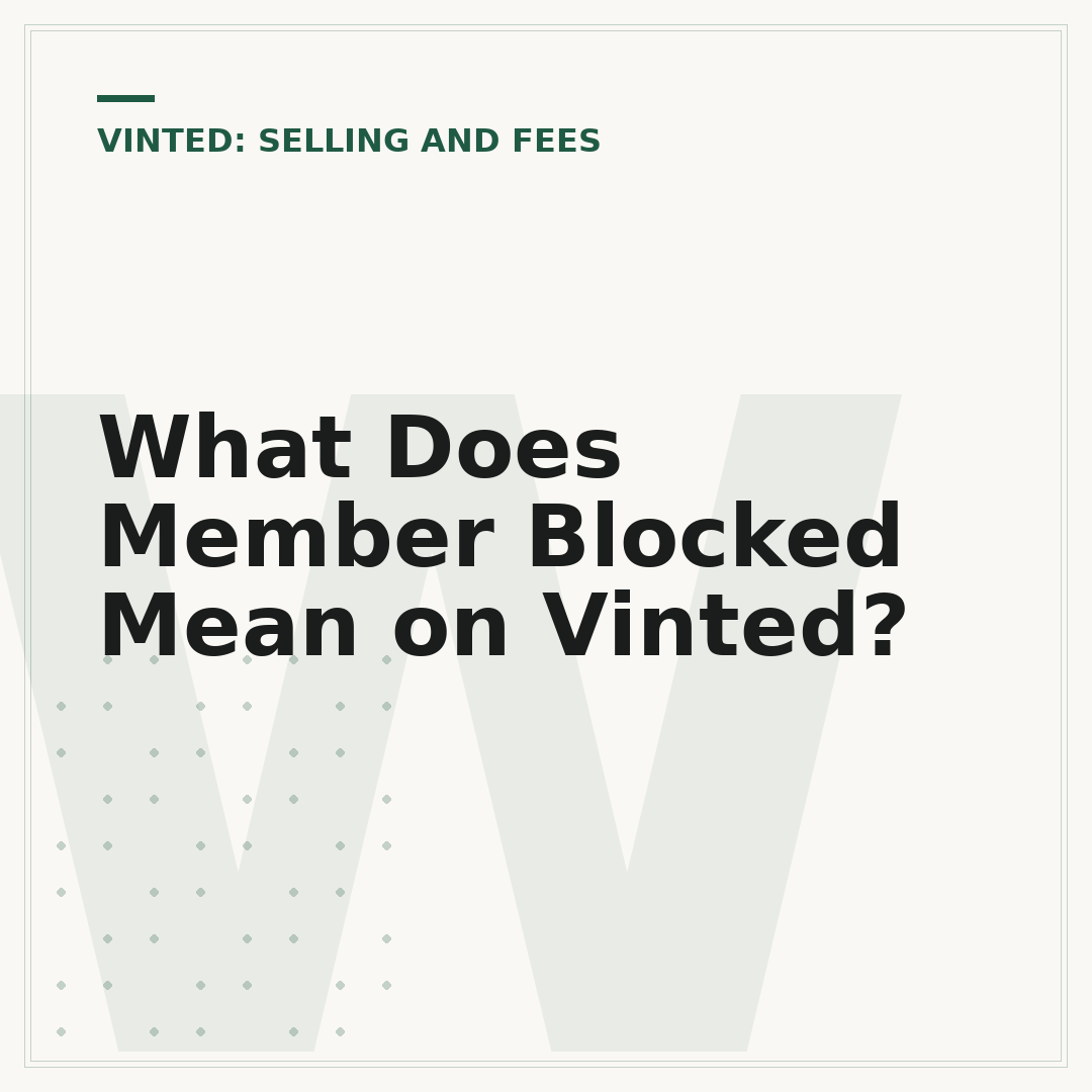 What Does Member Blocked Mean on Vinted?