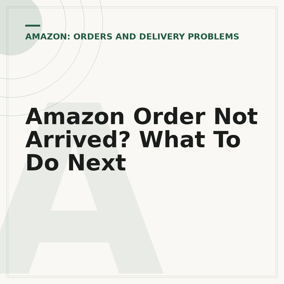 Amazon Order Not Arrived? What To Do Next
