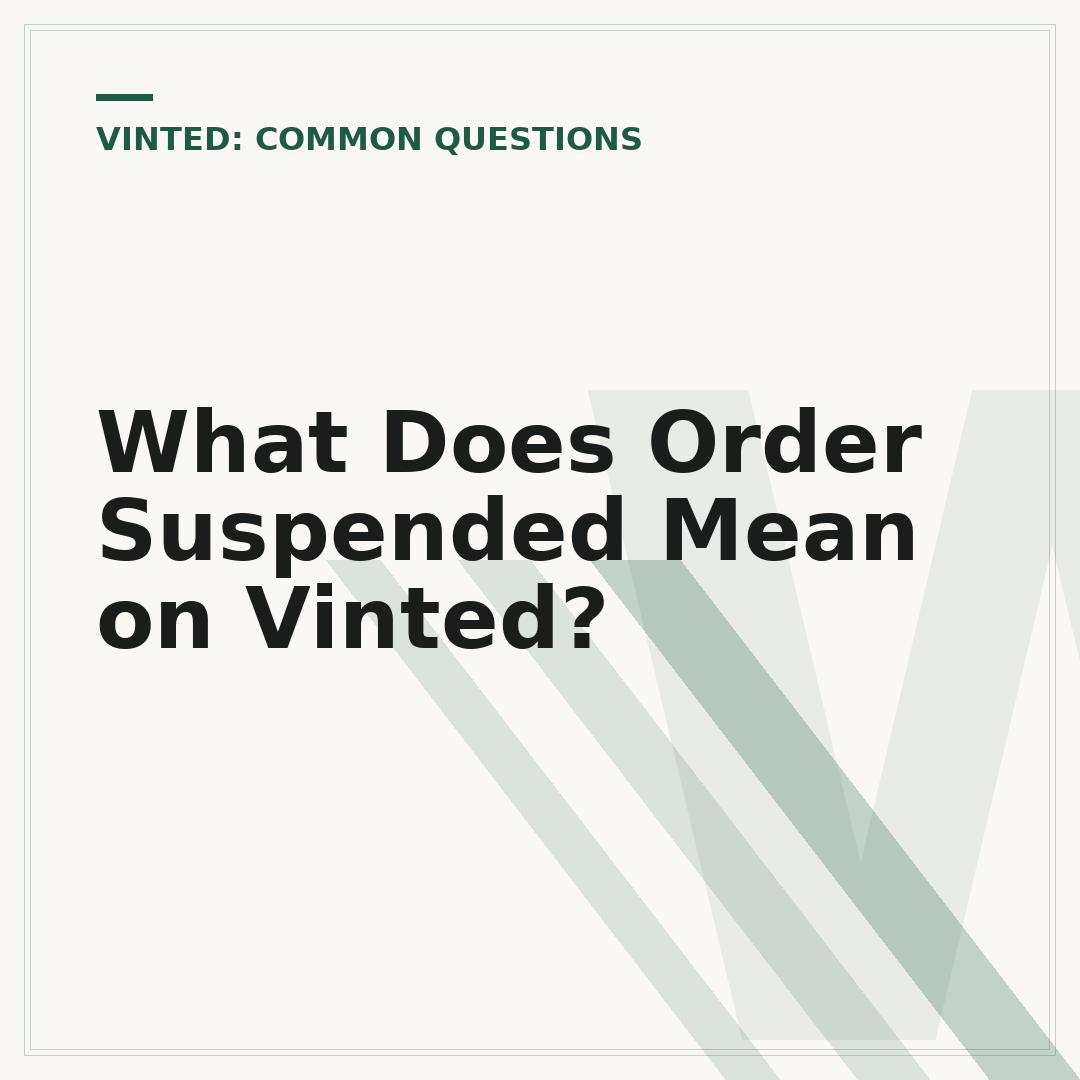 What Does Order Suspended Mean on Vinted?