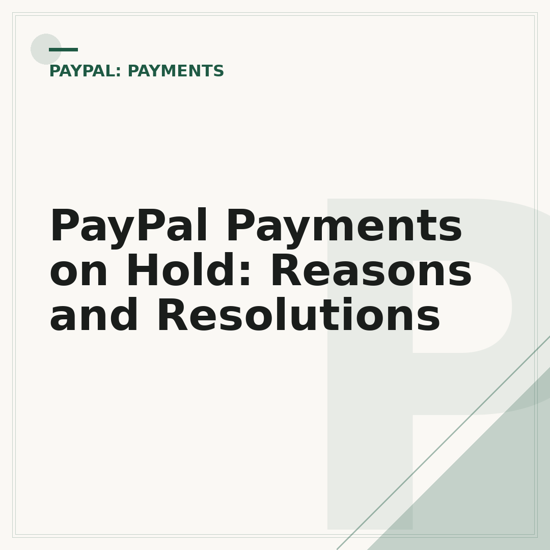 PayPal Payments on Hold: Reasons and Resolutions