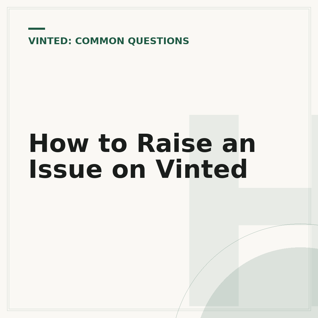 How to Raise an Issue on Vinted