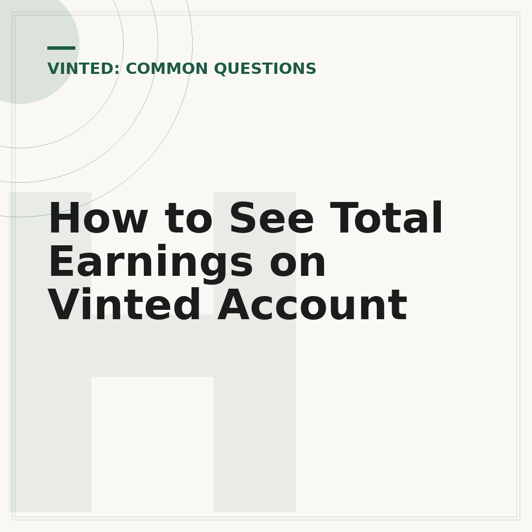 How to See Total Earnings on Vinted Account