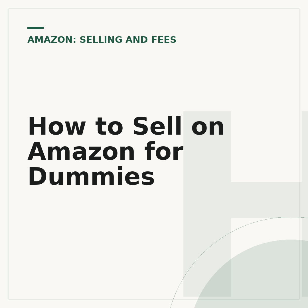 How to Sell on Amazon for Dummies