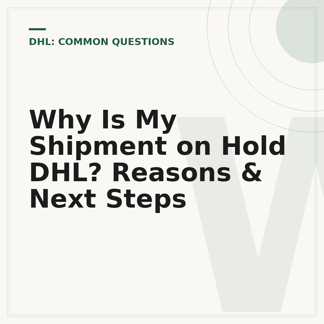 Why Is My Shipment on Hold DHL? Reasons & Next Steps
