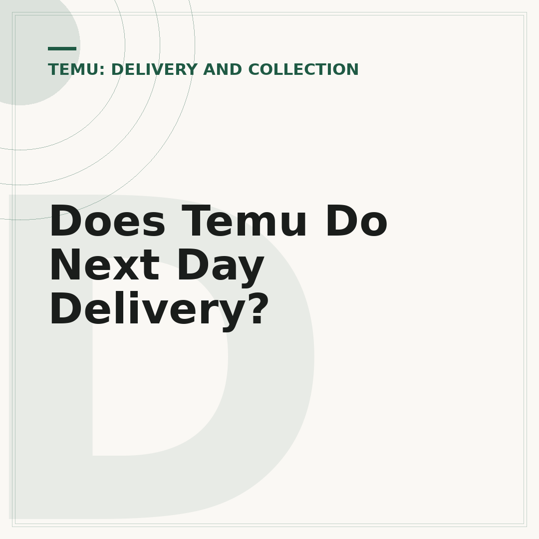 Does Temu Do Next Day Delivery?